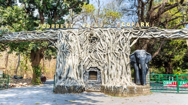 Corbett Waterfall