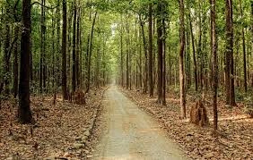Sitabani Zone